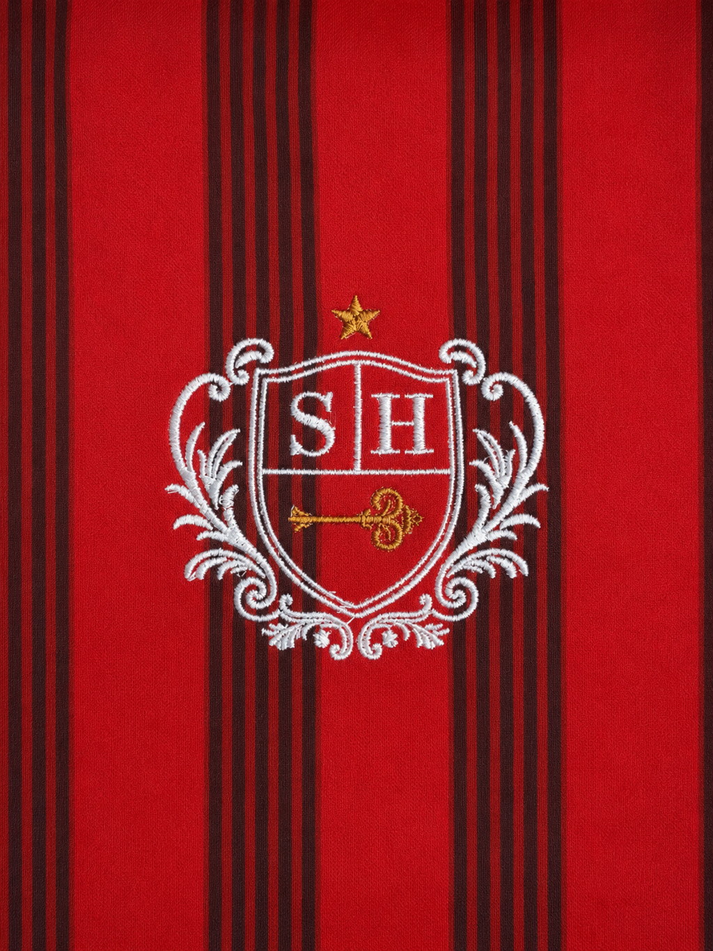 ESPAÑA JERSEY