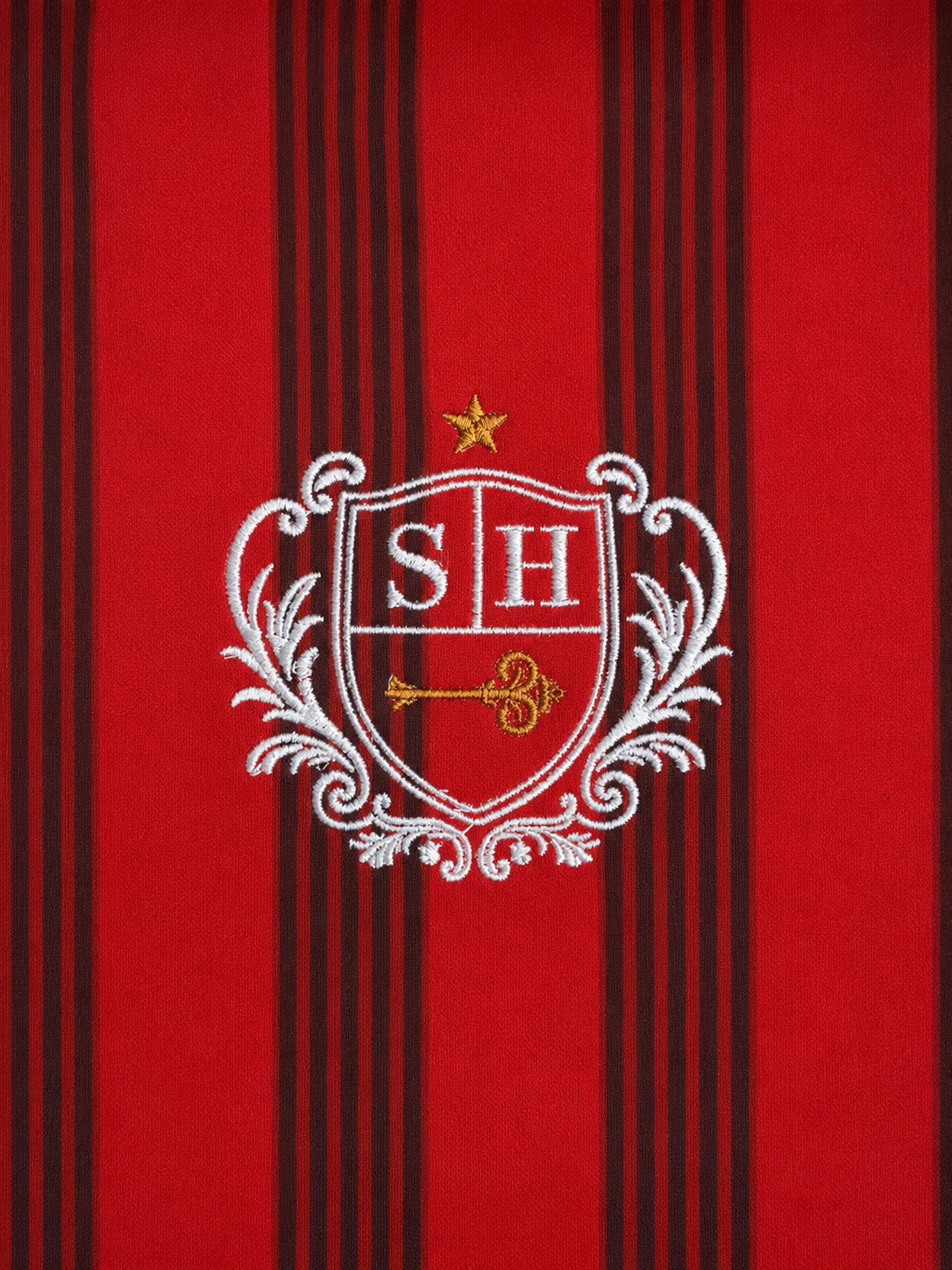 ESPAÑA JERSEY
